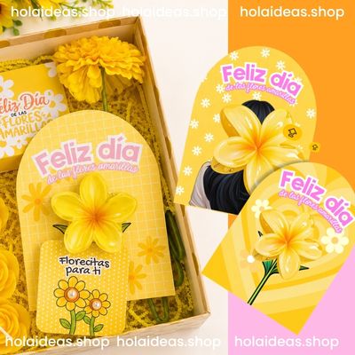 🩷  Kit de Tarjetas para accesorio de cabello