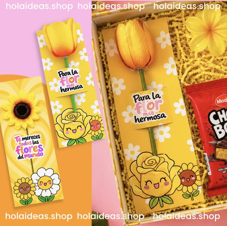 🩷 Kit de Bases para poner flores 
